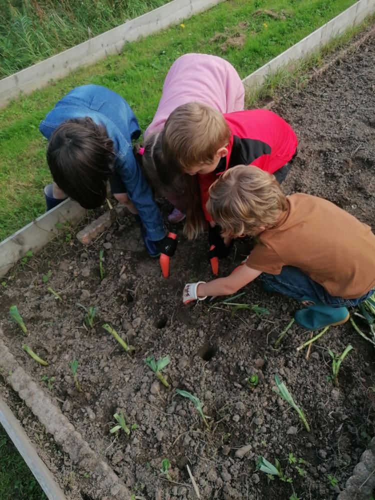 Jardin des ecoliers